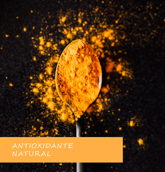 curcuma-jengibre-antioxidante-natural-pastillas