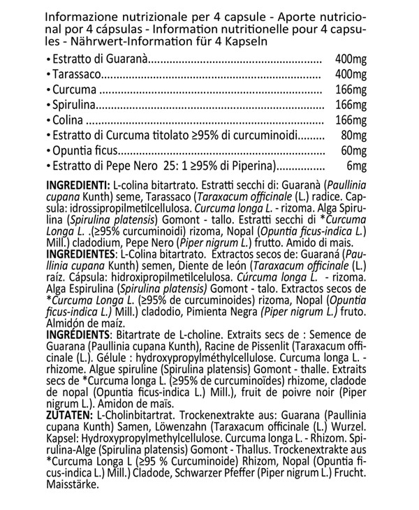 Producto adelgazante antioxidante