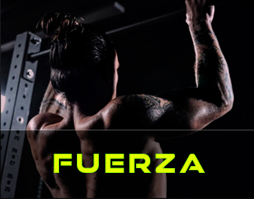 beswiss-tribulus-pastillas-potenciadoras-fuerza