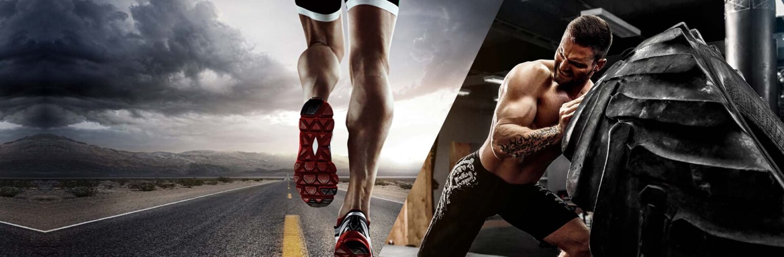 Complément Alimentaire Muscle Builder - Tribulus & Ashwagandha Pour Force Et Prise De Masse