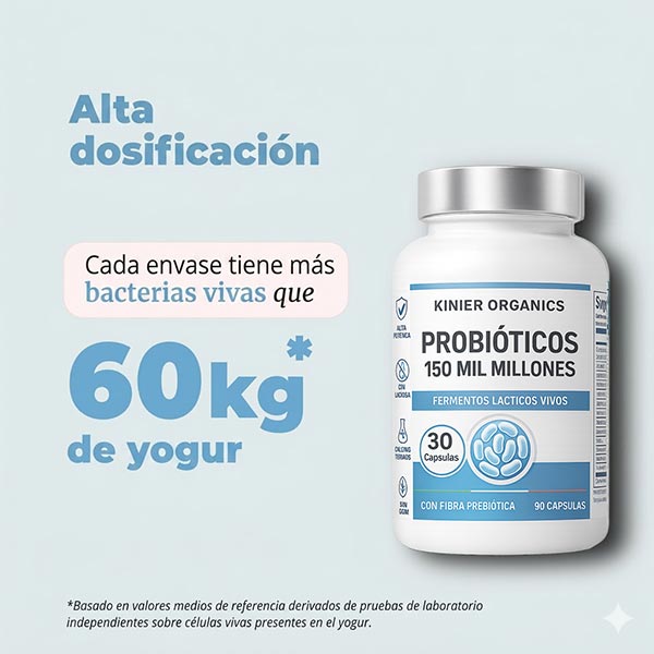 bacterias probioticas buenas yogurt